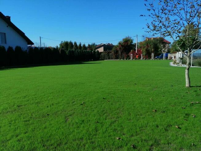 Zakładanie Ogrodów Zakładanie Trawników