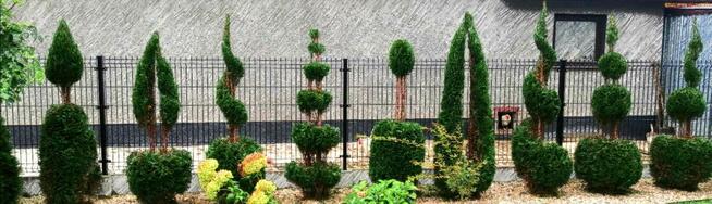 Pielęgnacja ogrodów