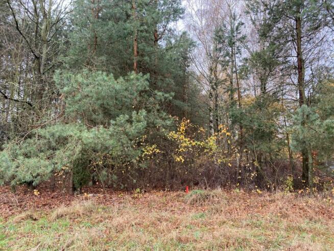 Działka inwestycyjna w rej. ul. Wiśniowej, 55 zł/m2