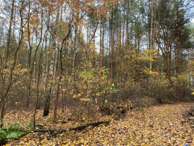 Działka inwestycyjna w rej. ul. Wiśniowej, 55 zł/m2