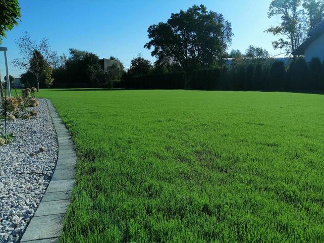 ZAKŁADANIE SYSTEMÓW AUTOMATYCZNEGO NAWADNIANIA -ZAKŁADANIE