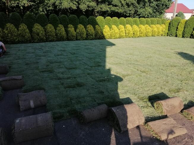 Trawniki z rolki dystrybucja oraz montaż, kompleksowo.