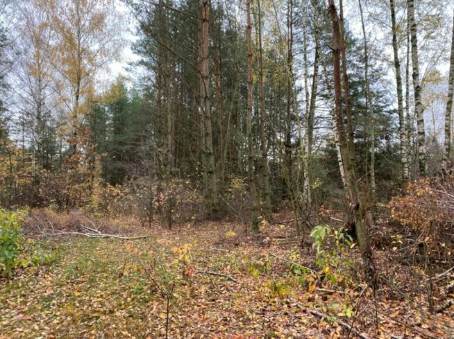 Działka inwestycyjna w rej. ul. Wiśniowej, 55 zł/m2