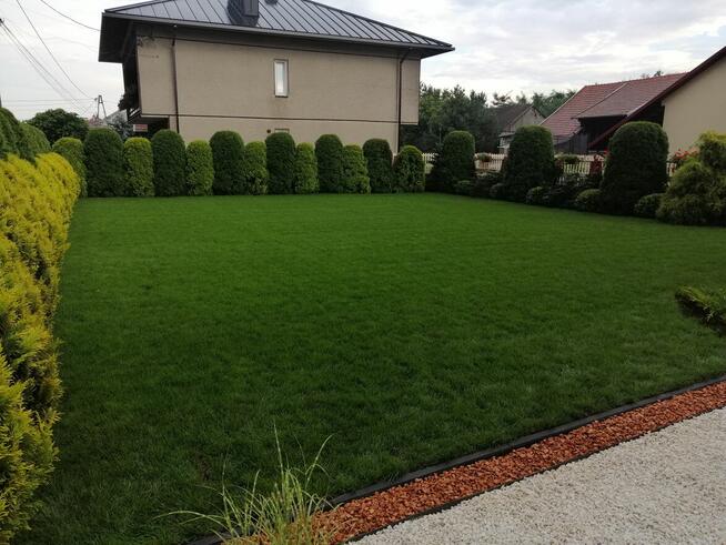 Trawniki z rolki dystrybucja oraz montaż, kompleksowo.