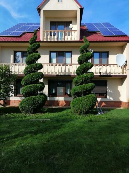 Pielęgnacja ogrodów