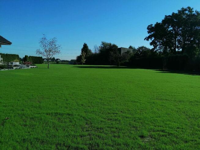 Zakładanie Ogrodów Zakładanie Trawników