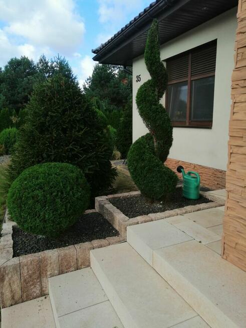 Pielęgnacja ogrodów