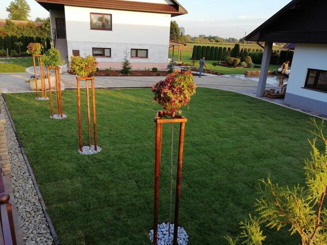 Trawniki z rolki dystrybucja oraz montaż, kompleksowo.