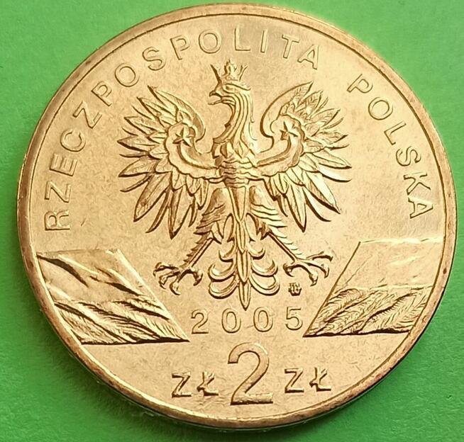 2 zł 2005 r. Puchacz