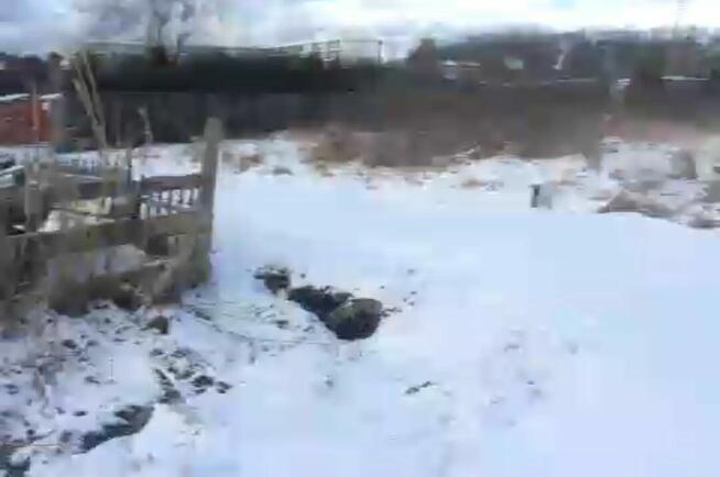 Wynajmę działkę nad morzem