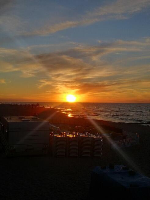 Wynajmę działkę nad morzem