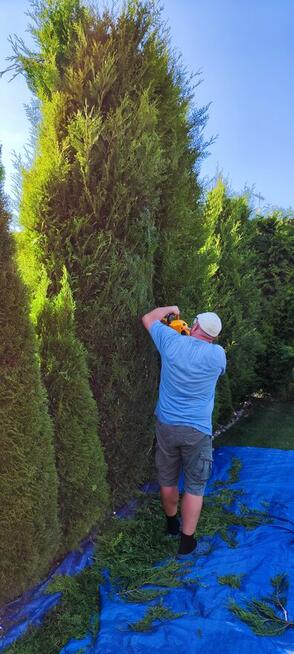 Usługi ogrodnicze Jarosław