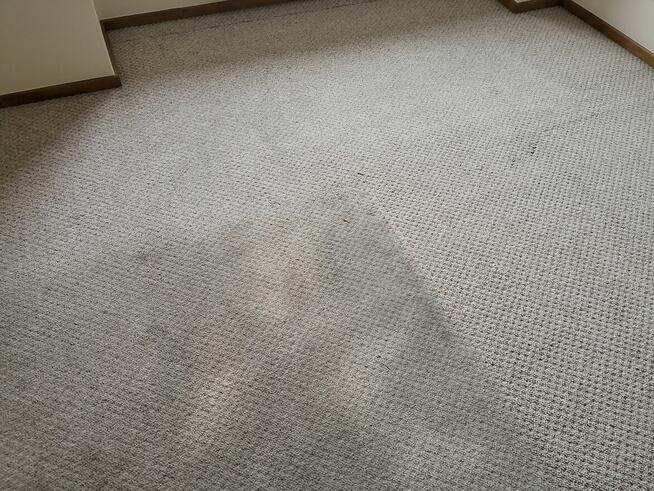 Karcher Lusowo 605412568 pranie wykładzin dywanów tapicerki