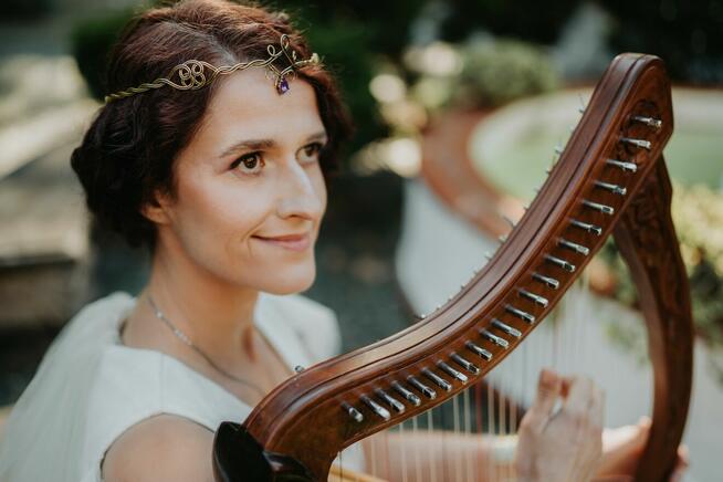 HARFA nauka gry dla dzieci i dorosłych. Zawodowy nauczyciel