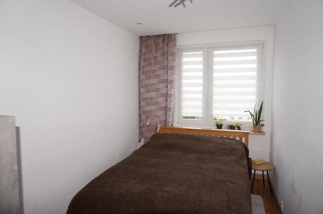 Mieszkanie 3 pok obok parku na Górczynie