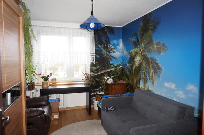 Mieszkanie 3 pok obok parku na Górczynie