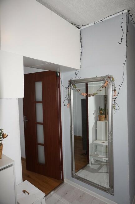 Mieszkanie 3 pok obok parku na Górczynie