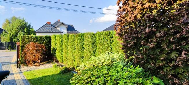 Usługi ogrodnicze Jarosław