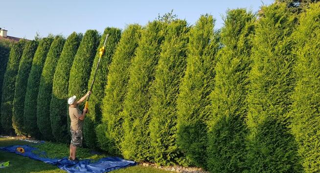 Usługi ogrodnicze Jarosław