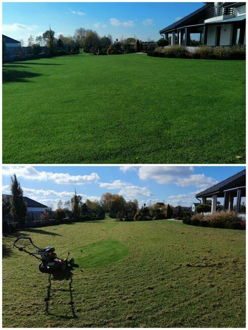 Wertkulacja Tarnów Pielęgnacja Trawników