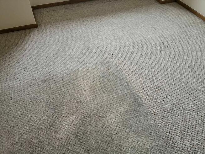 Karcher Stare Bojanowo 661373424 pranie wykładzin tapicerki