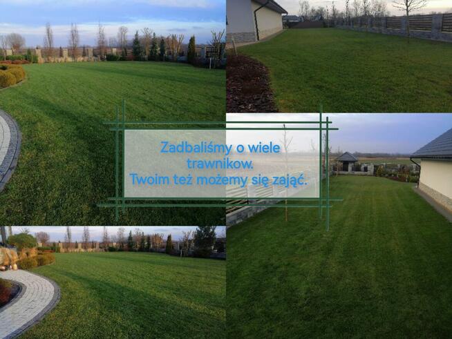 Wertkulacja Tarnów Pielęgnacja Trawników
