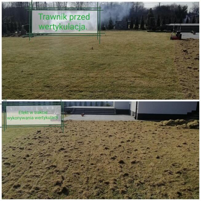 Wertkulacja Tarnów Pielęgnacja Trawników