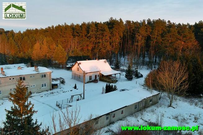 Agencja Nieruchomości LOKUM poszukuje nieruchomości