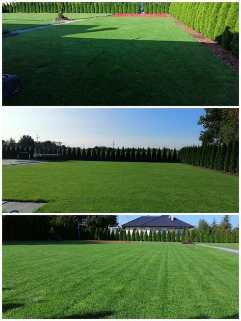 Wertkulacja Tarnów Pielęgnacja Trawników