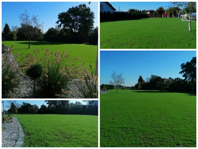 Wertkulacja Tarnów Pielęgnacja Trawników