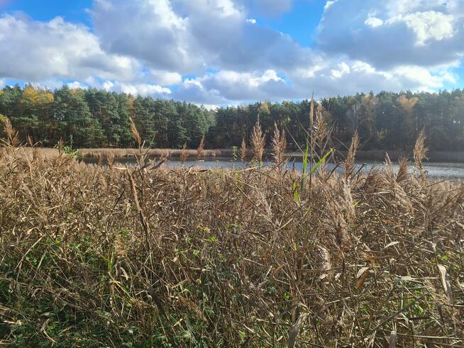 BISKUPICE(Wlkp.) Dzialka nad jeziorem