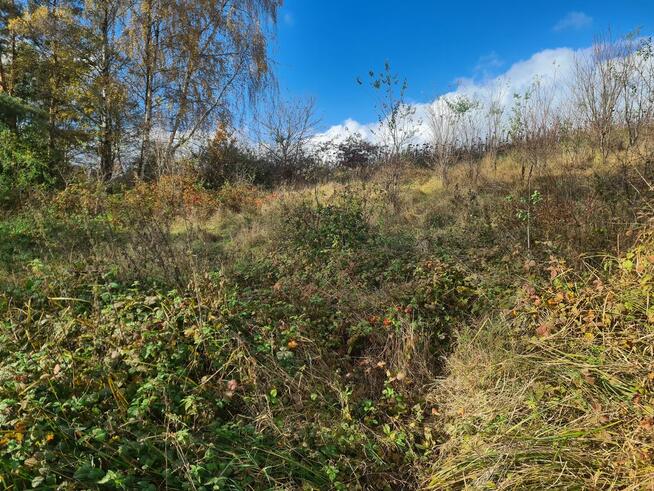 BISKUPICE(Wlkp.) Dzialka nad jeziorem