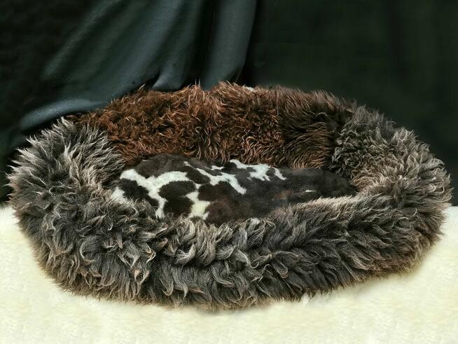 Legowiska z owczej skóry dla dużych psów-100 cm!