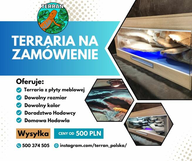 Terrarium na zamówienie