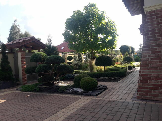 Usługi Ogrodnicze Ryszard Kocot