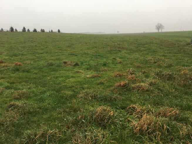 Działka rolna Bogucino gm. Kołobrzeg