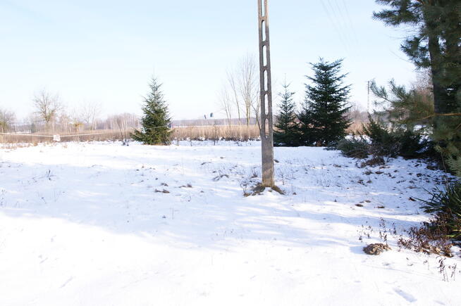 Działka 16 ar w miejsc. Gołąb pow. Lubartowski