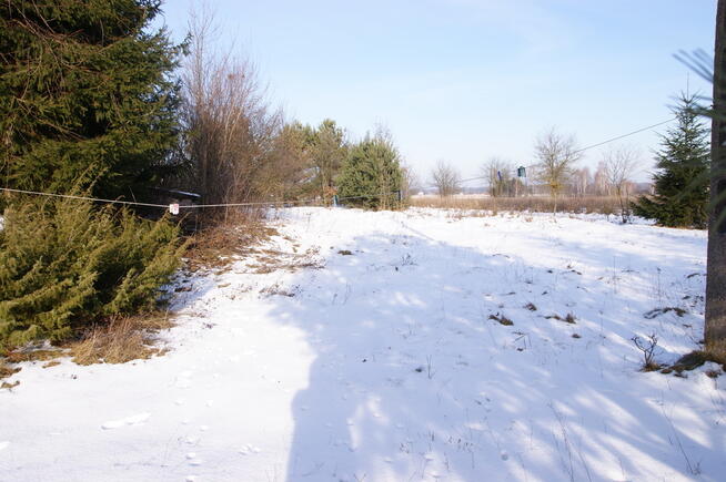 Działka 16 ar w miejsc. Gołąb pow. Lubartowski