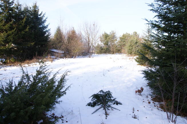 Działka 16 ar w miejsc. Gołąb pow. Lubartowski