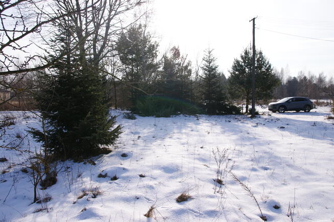 Działka 16 ar w miejsc. Gołąb pow. Lubartowski