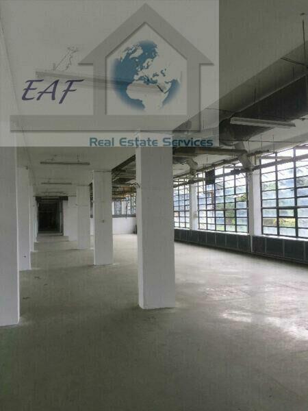 Lokal użytkowy Błonie