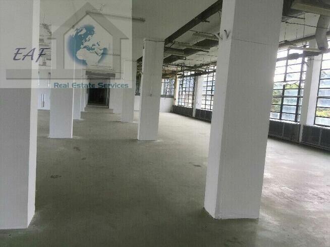 Lokal użytkowy Błonie