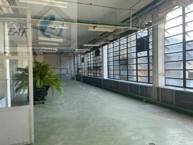 Lokal użytkowy Błonie