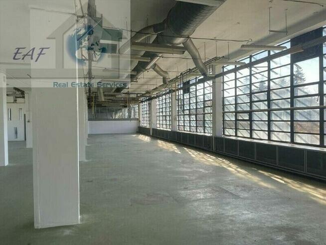 Lokal użytkowy Błonie