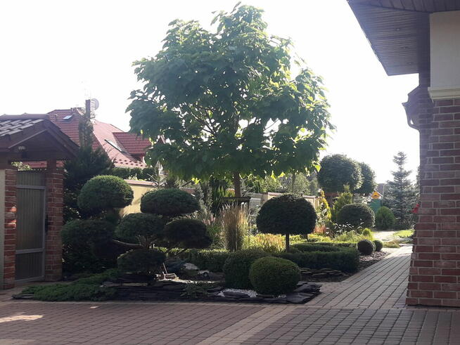 Usługi Ogrodnicze Ryszard Kocot