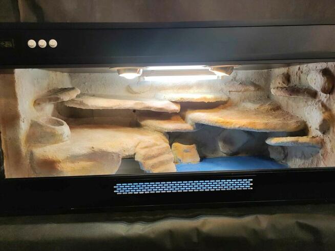 Terrarium 120x60x60 cm Agama Gekon