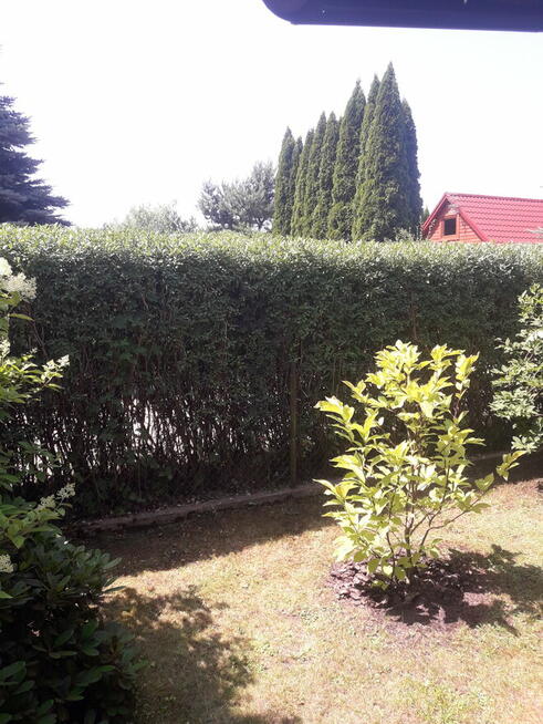 Usługi Ogrodnicze Ryszard Kocot