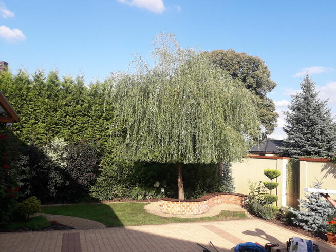 Usługi Ogrodnicze Ryszard Kocot