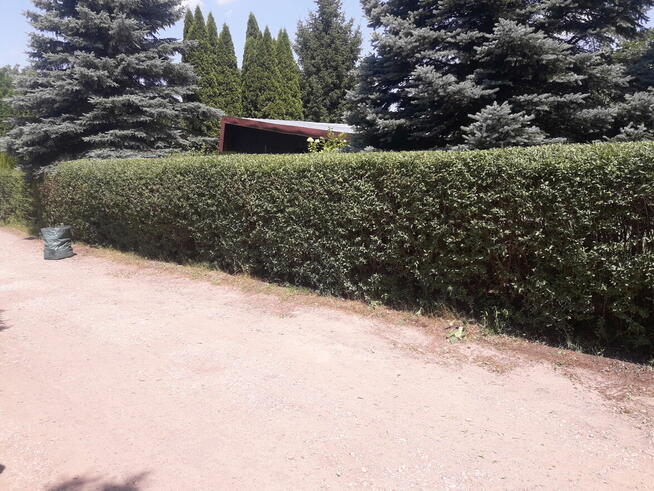 Usługi Ogrodnicze Ryszard Kocot