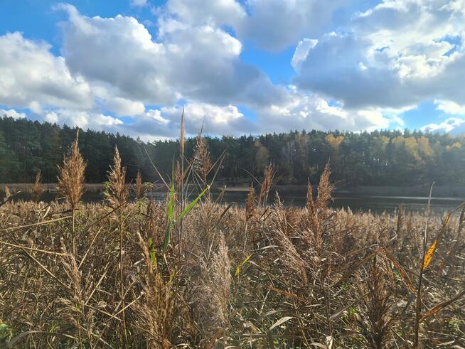 BISKUPICE(Wlkp.) Dzialka nad jeziorem